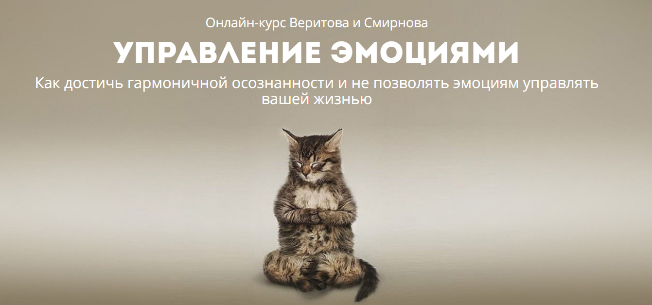 Управление эмоциями - Веритов, Смирнов (2018)_0.png